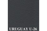 AKCIA, koža Uruguay U-26